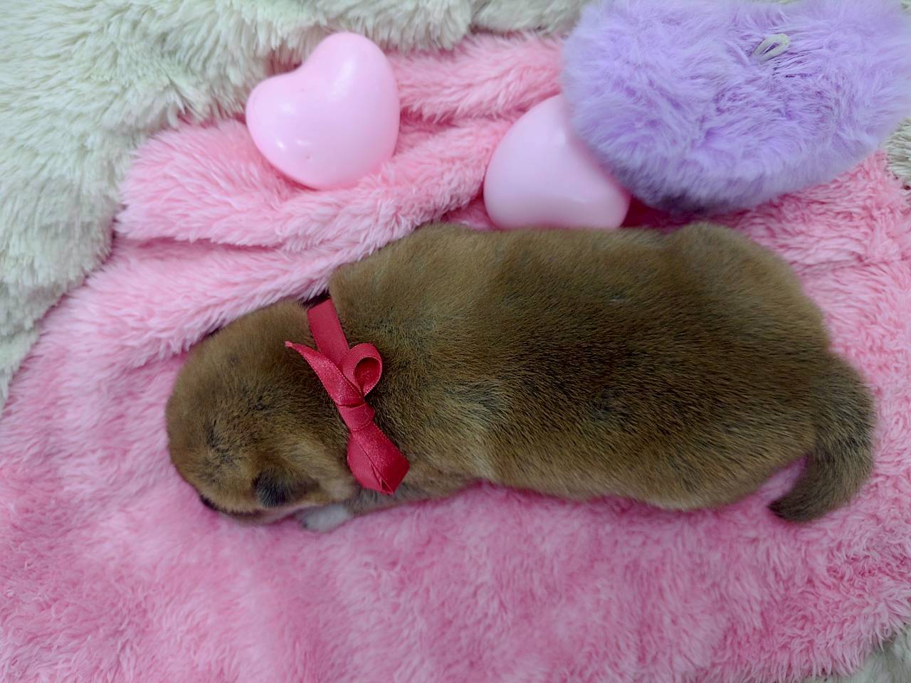 赤ちゃん写真1-3