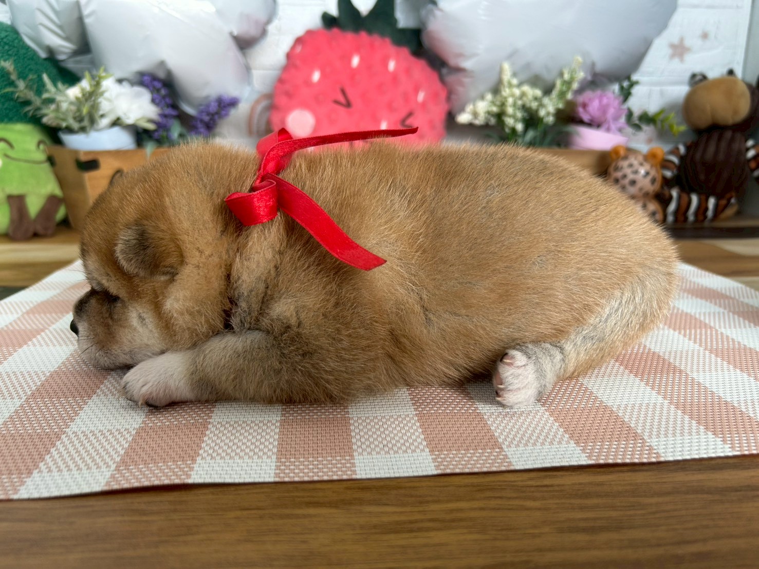 赤ちゃん写真2-2