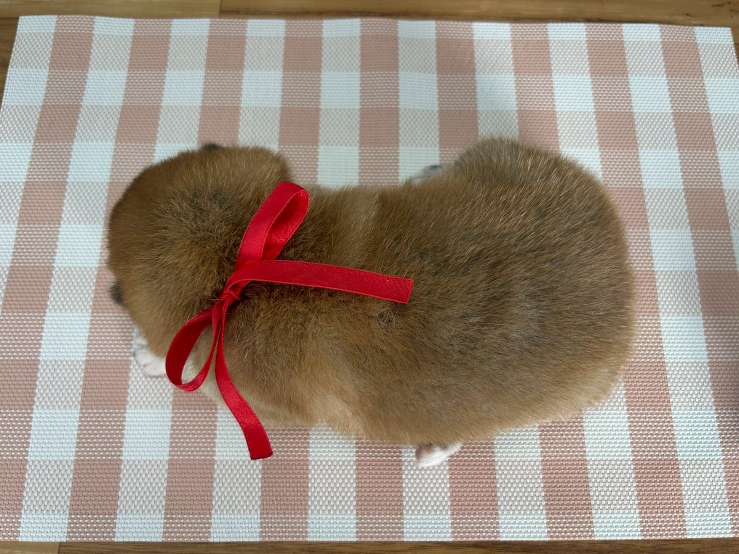 赤ちゃん写真2-3