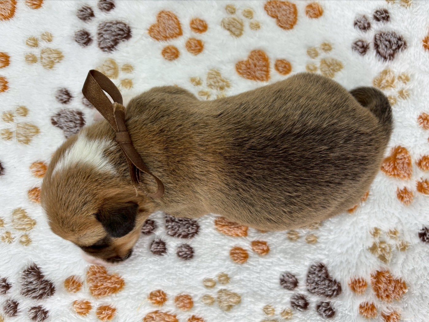 赤ちゃん写真1-3