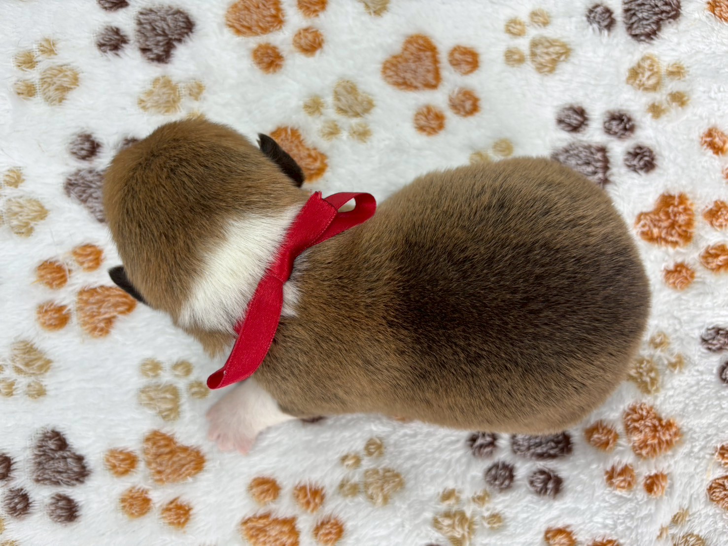 赤ちゃん写真1-3