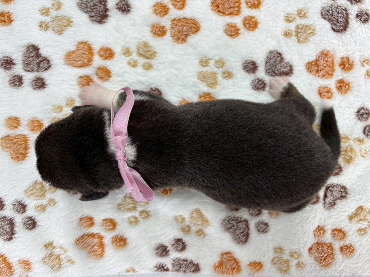 赤ちゃん写真1-3