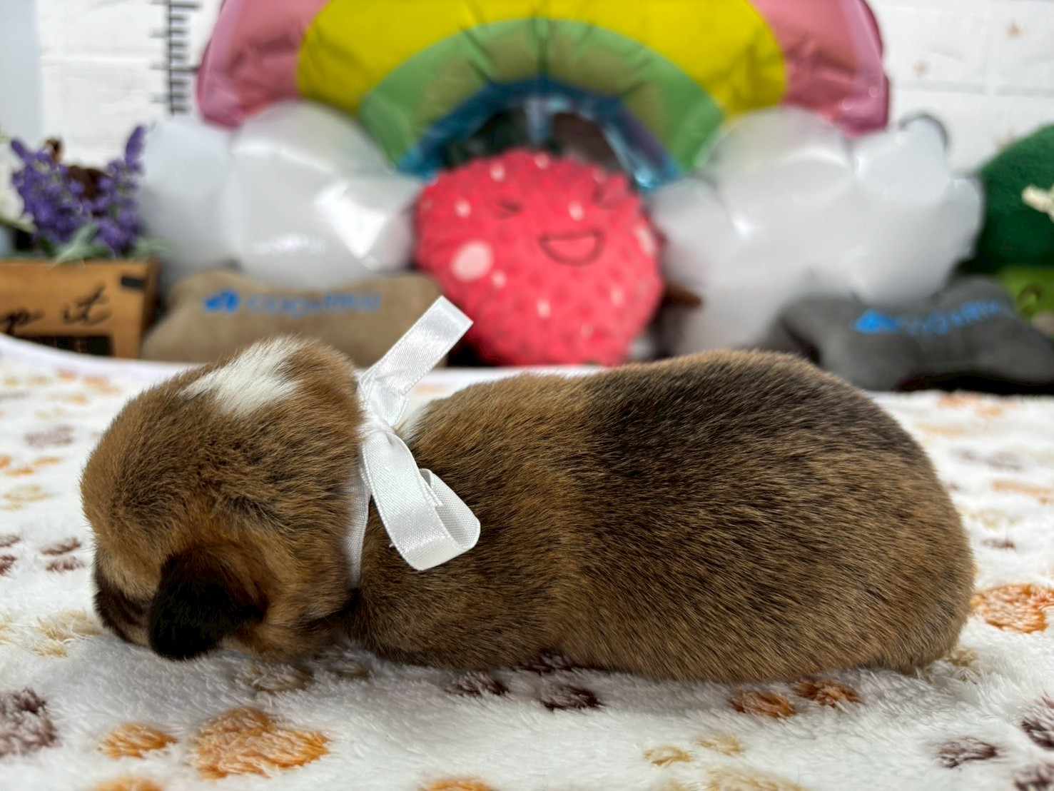 赤ちゃん写真1-2