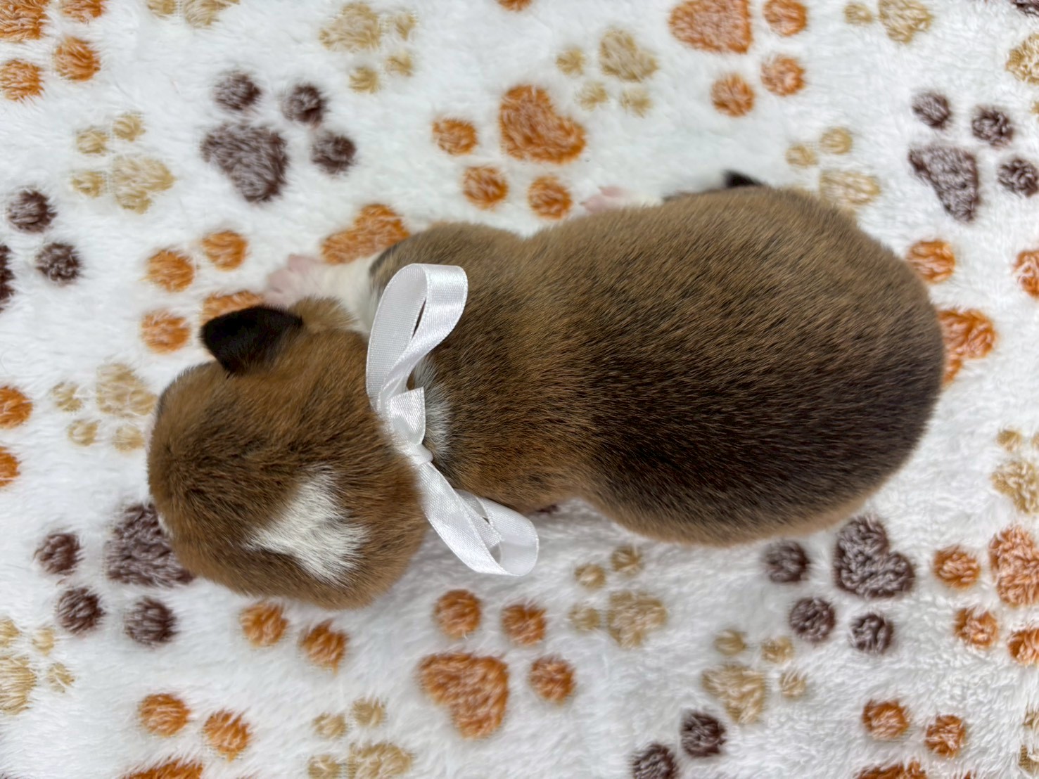 赤ちゃん写真1-3