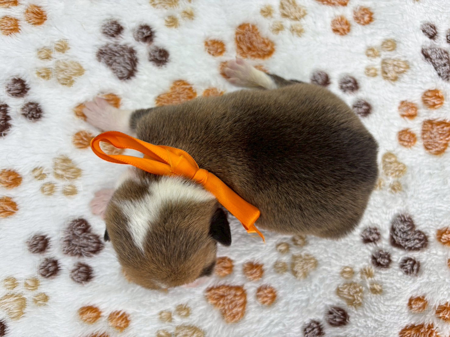 赤ちゃん写真1-3