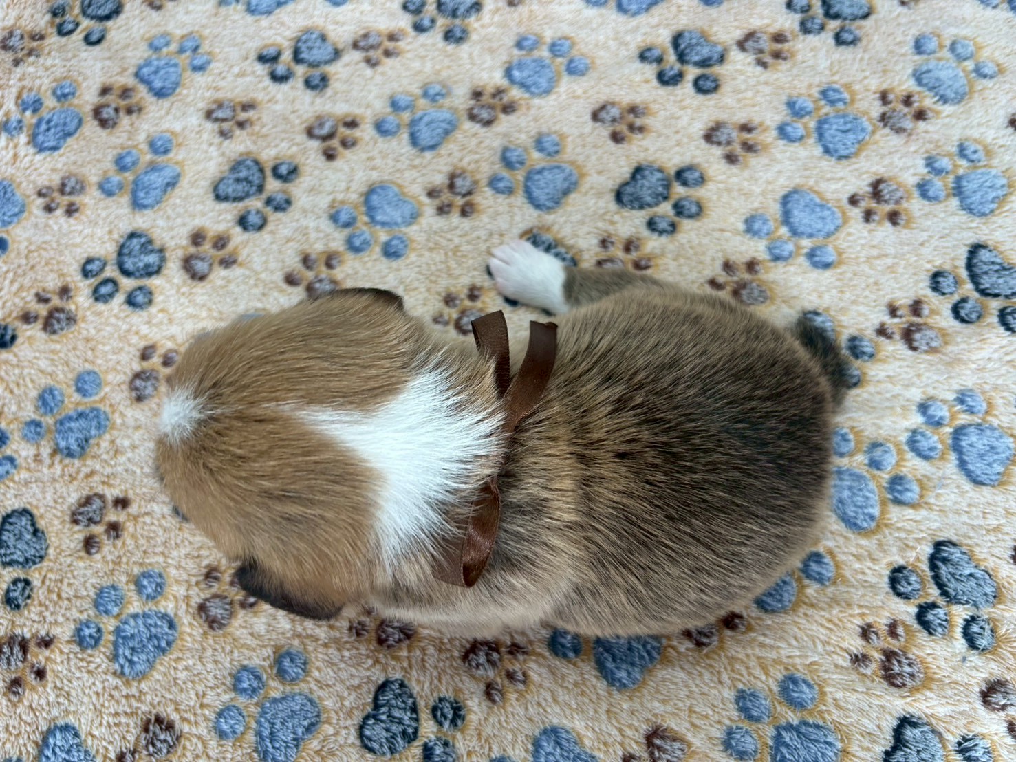 赤ちゃん写真2-3