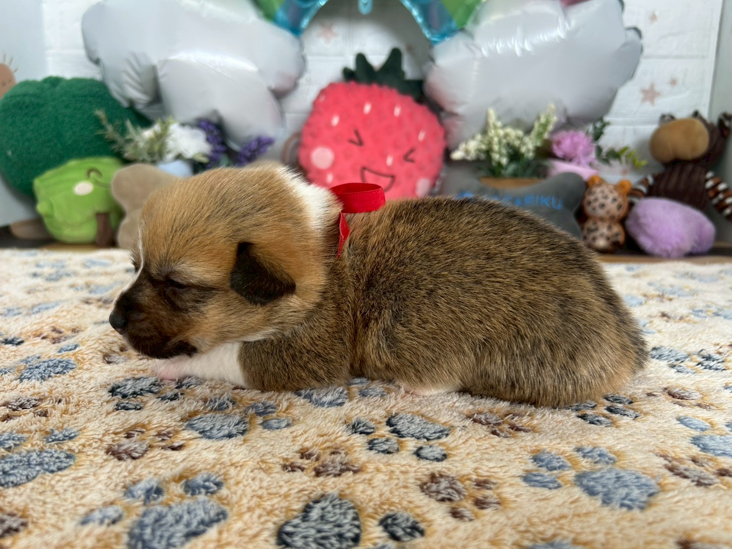 赤ちゃん写真2-2