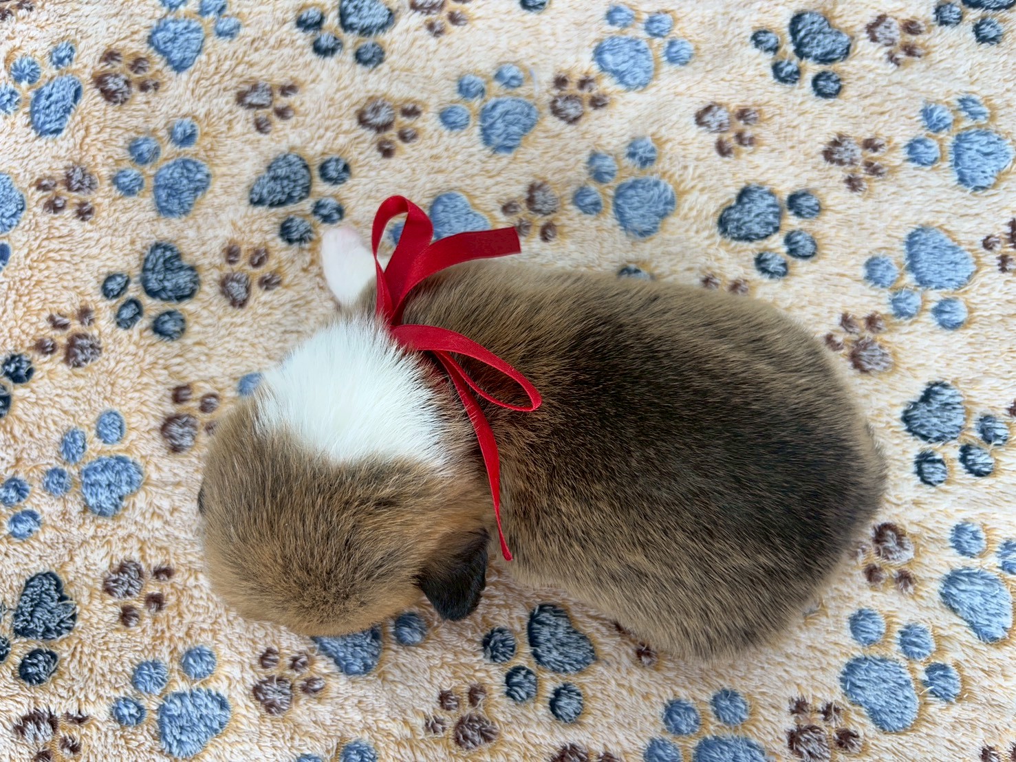 赤ちゃん写真2-3