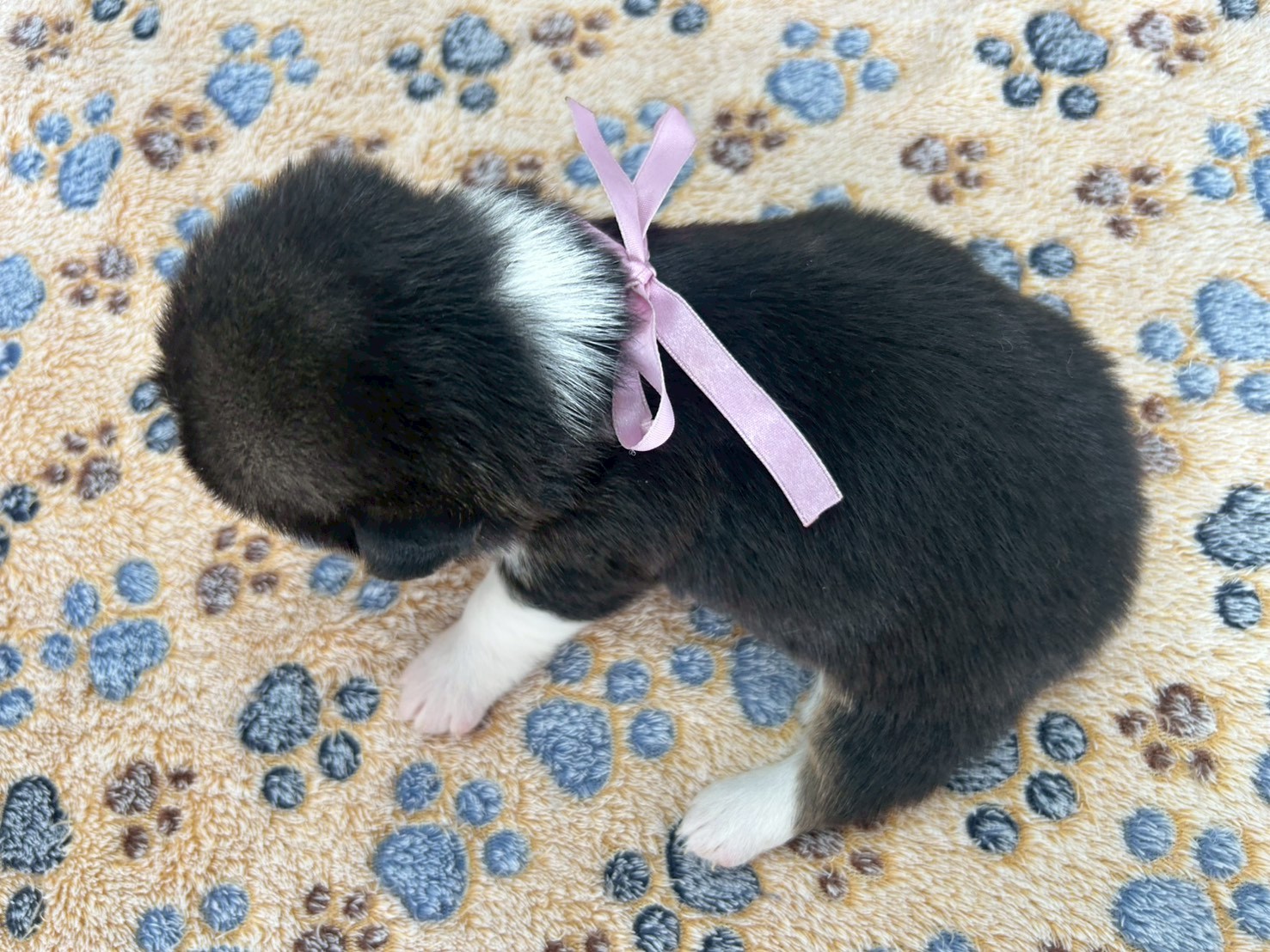赤ちゃん写真2-3
