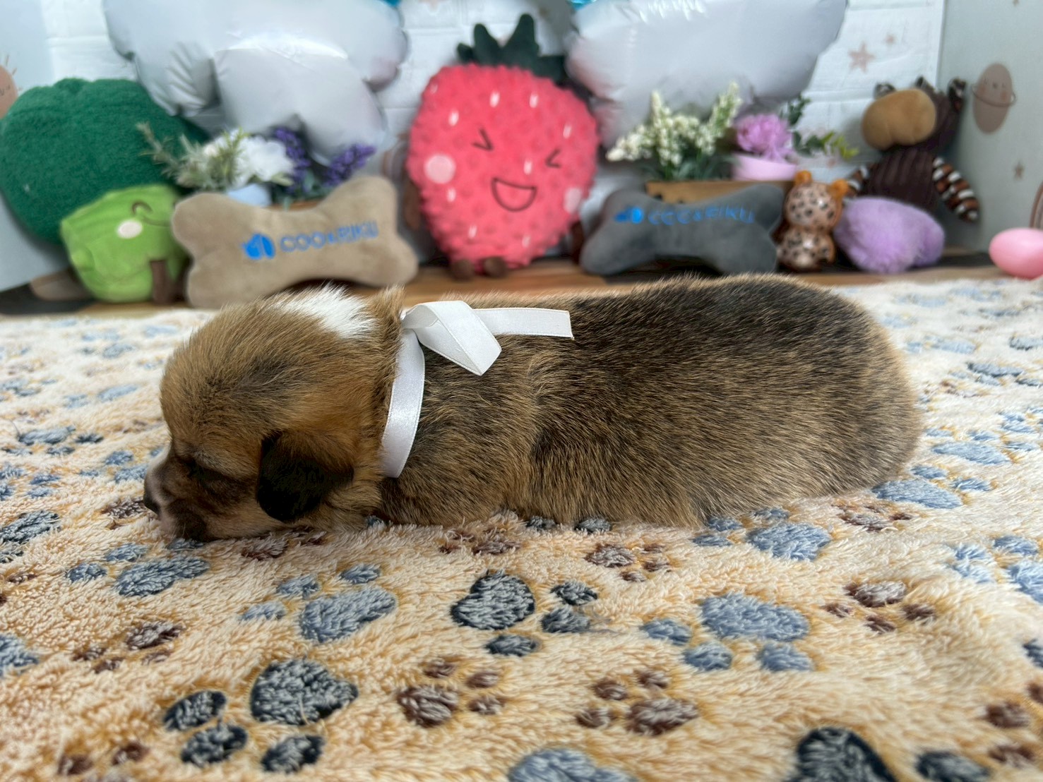 赤ちゃん写真2-2