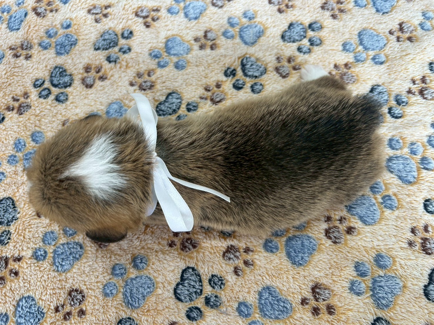 赤ちゃん写真2-3