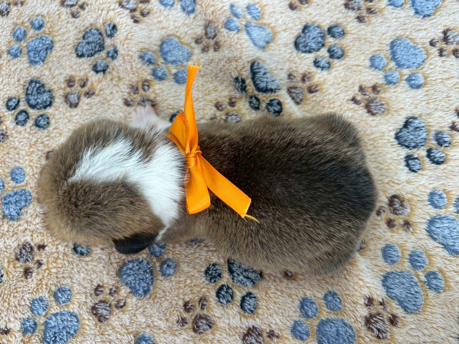 赤ちゃん写真2-3