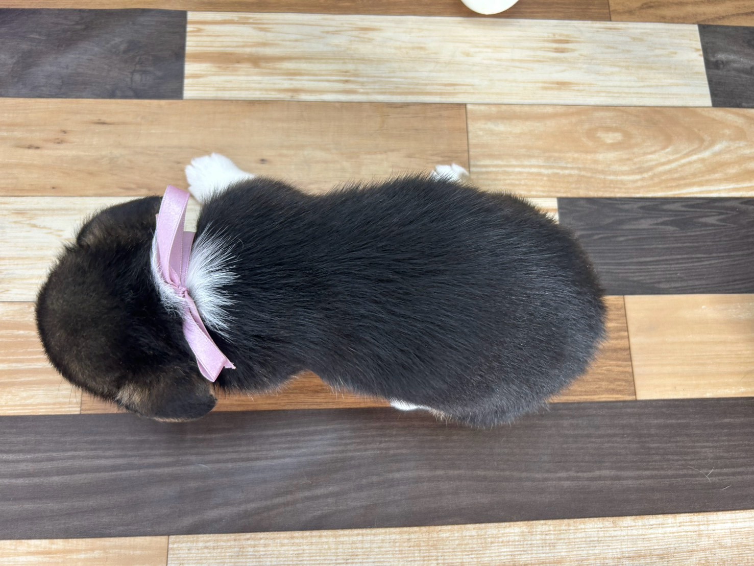 赤ちゃん写真3-3