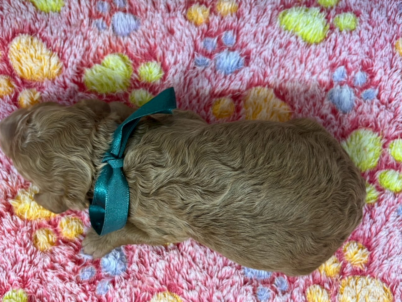 赤ちゃん写真1-3