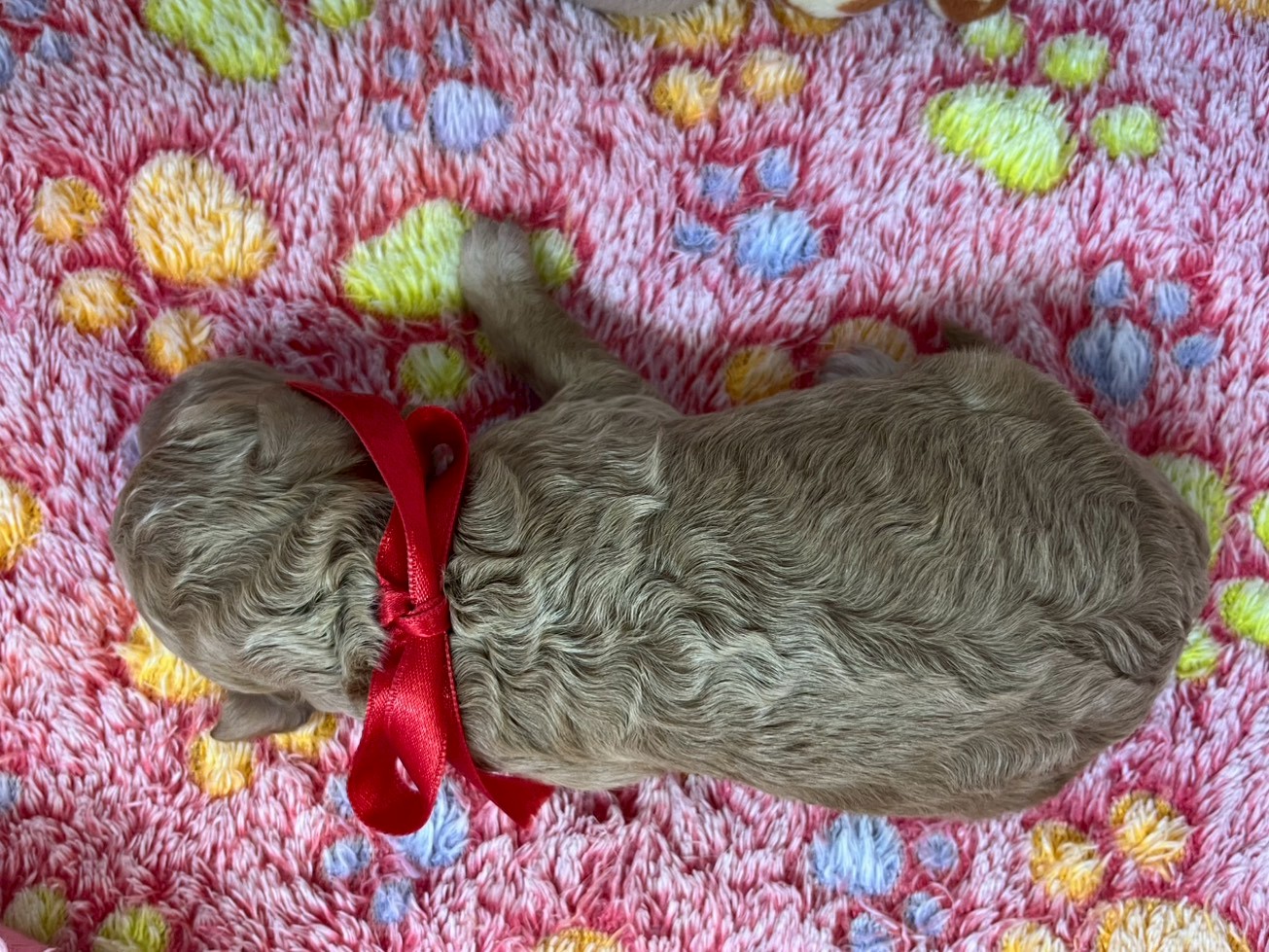 赤ちゃん写真1-3