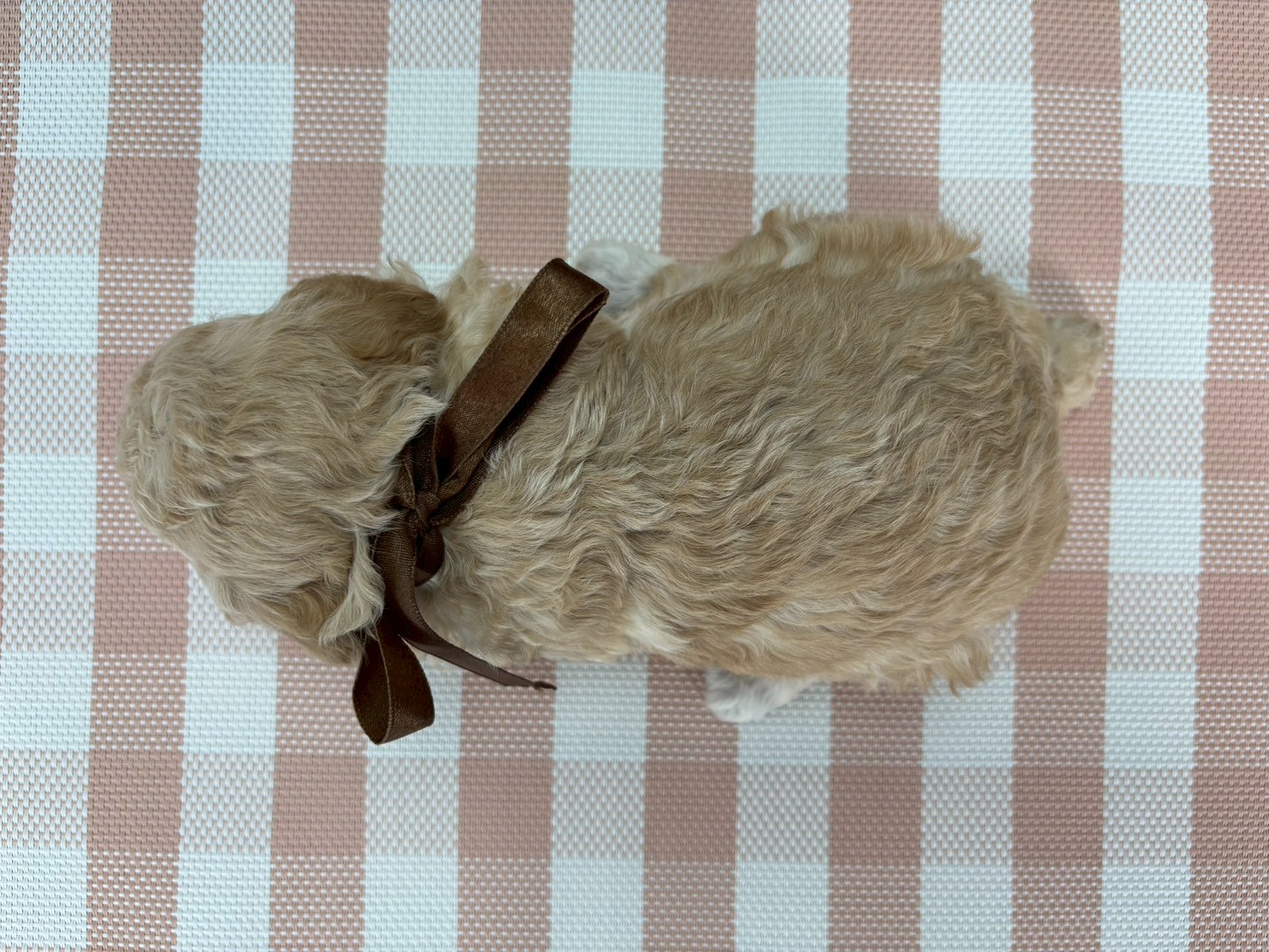 赤ちゃん写真2-3