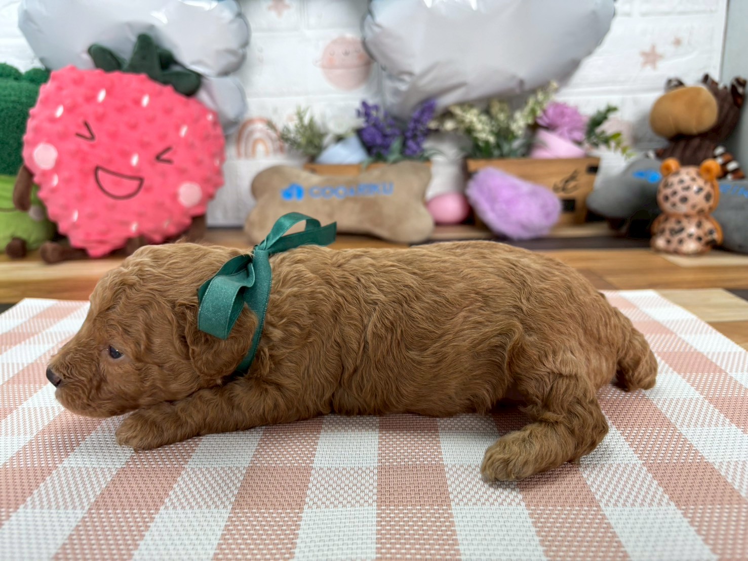 赤ちゃん写真2-2