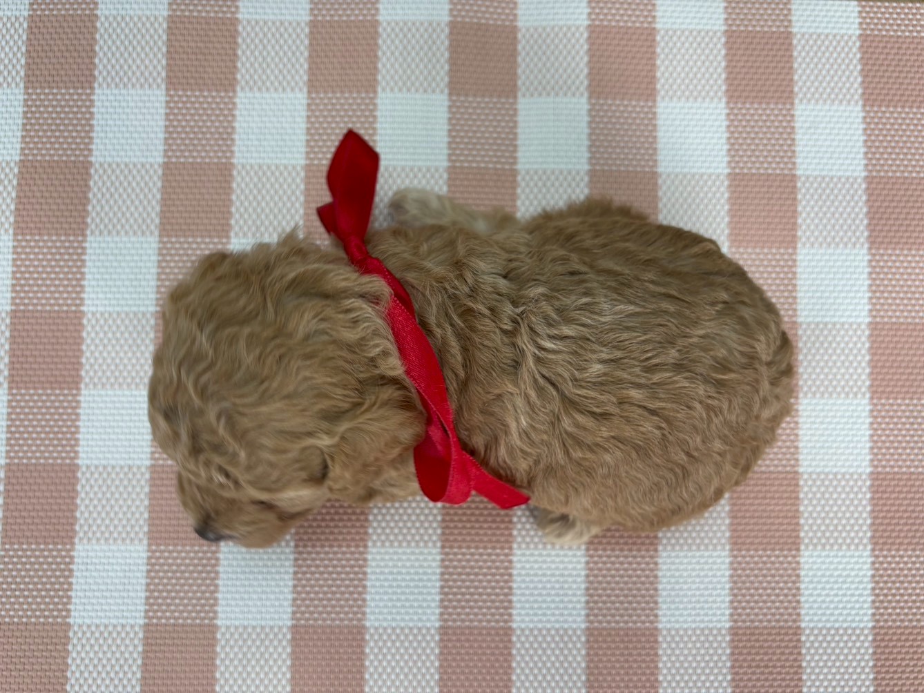 赤ちゃん写真2-3