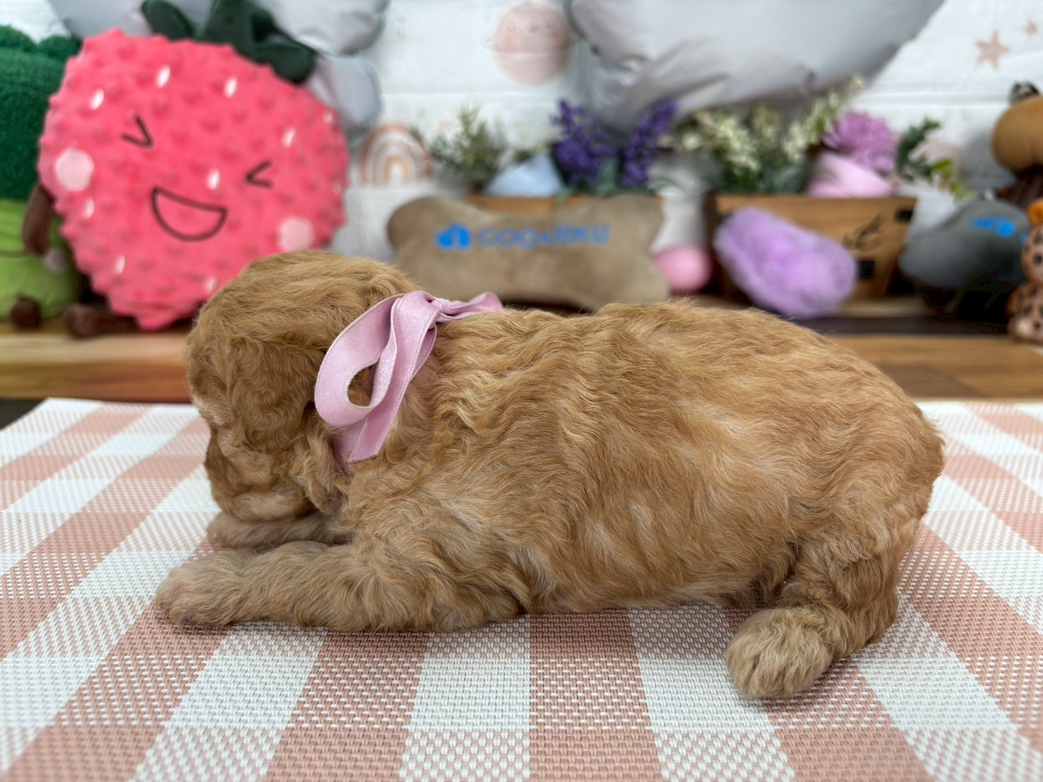 赤ちゃん写真2-2