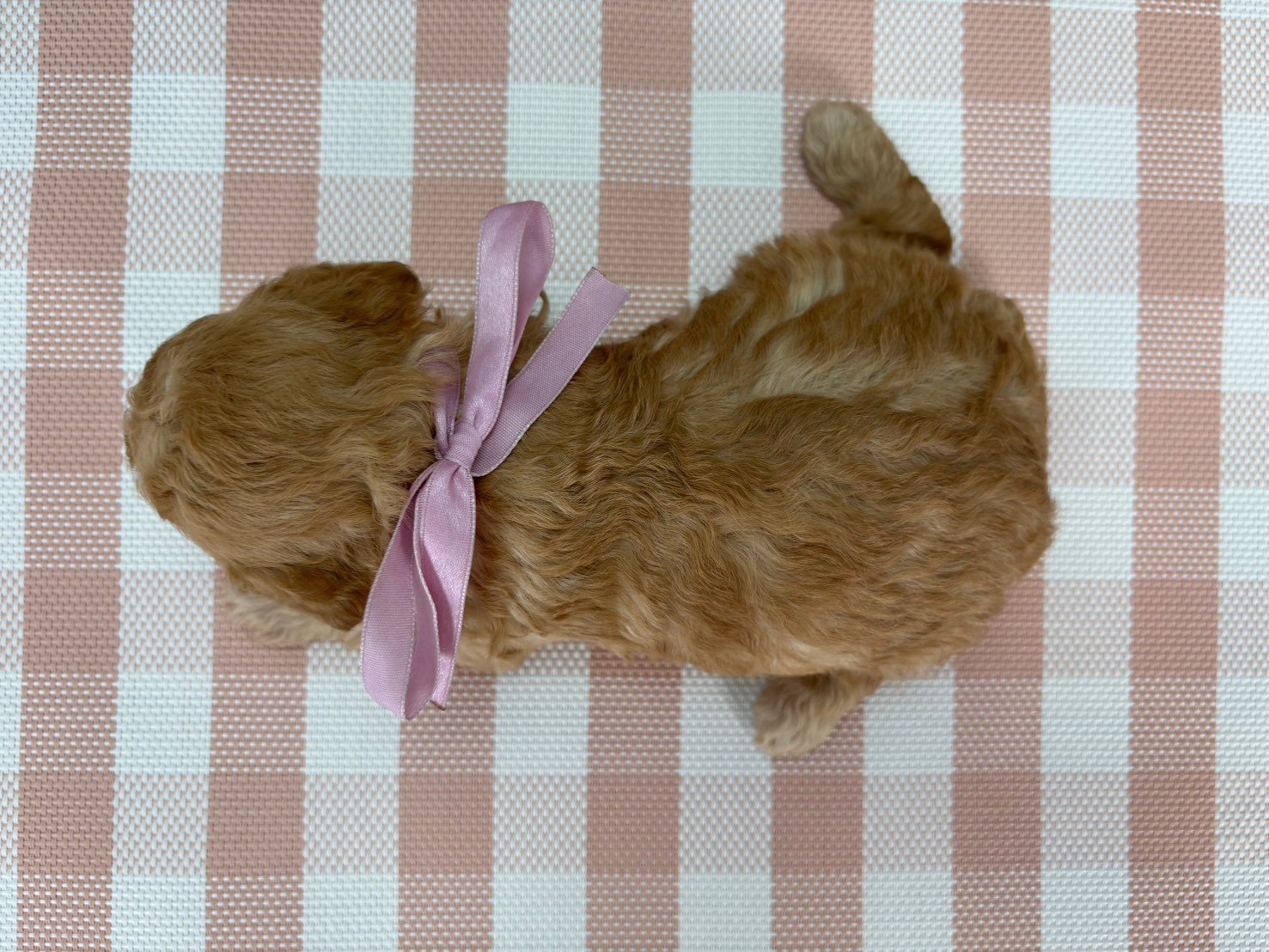 赤ちゃん写真2-3