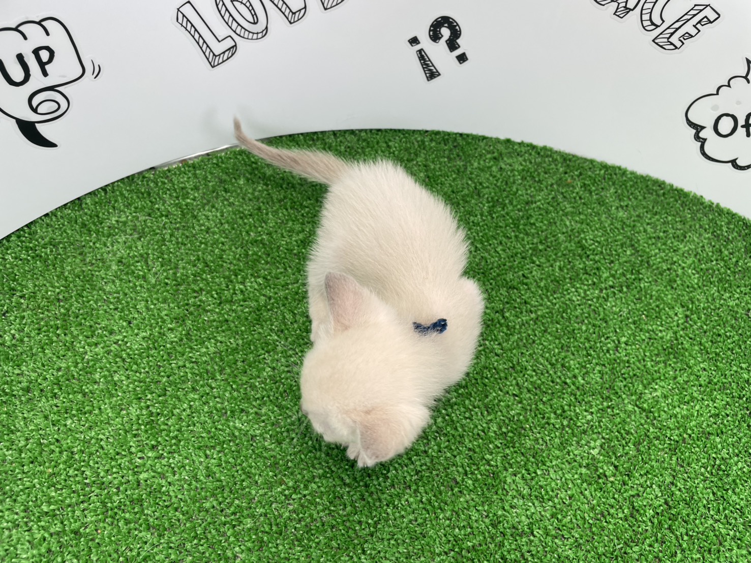 赤ちゃん写真1-3