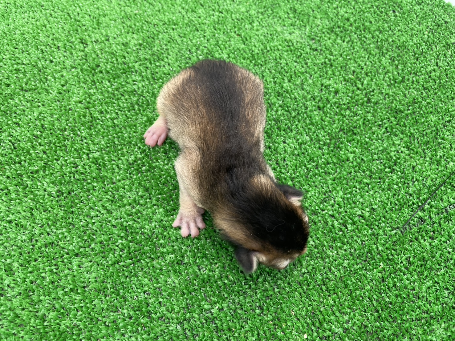 赤ちゃん写真1-3