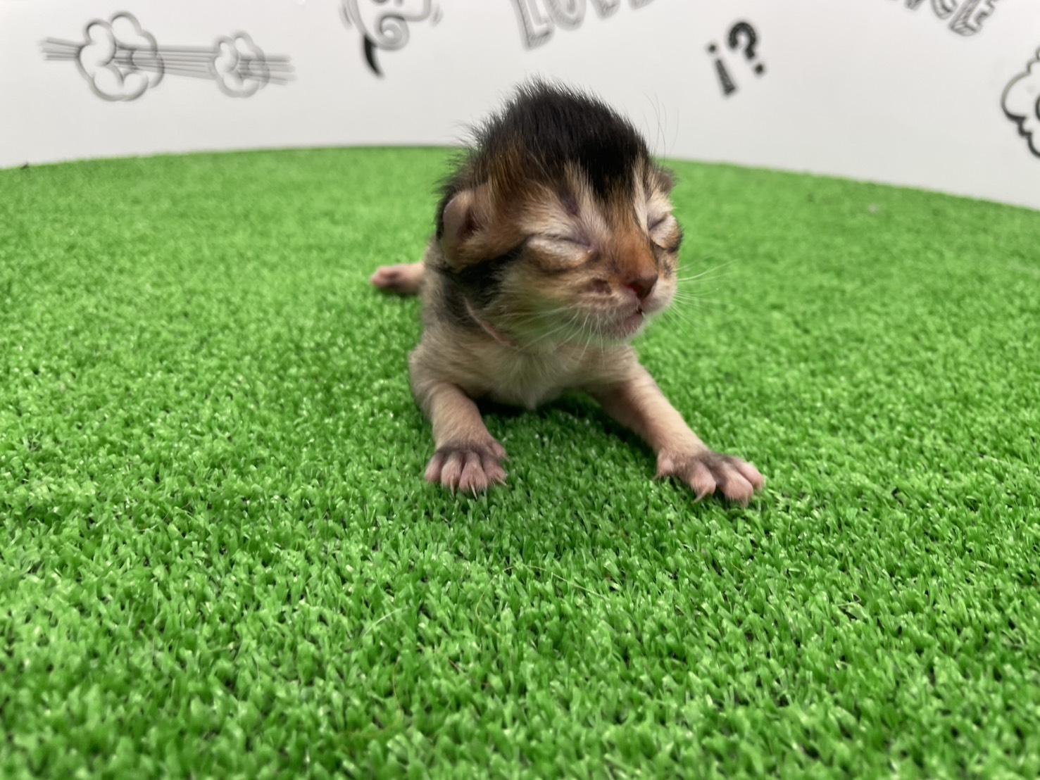 赤ちゃん写真1-1