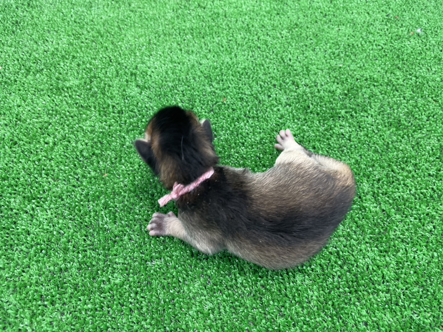 赤ちゃん写真1-3