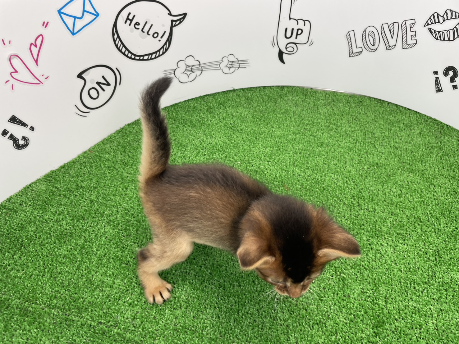 赤ちゃん写真2-3