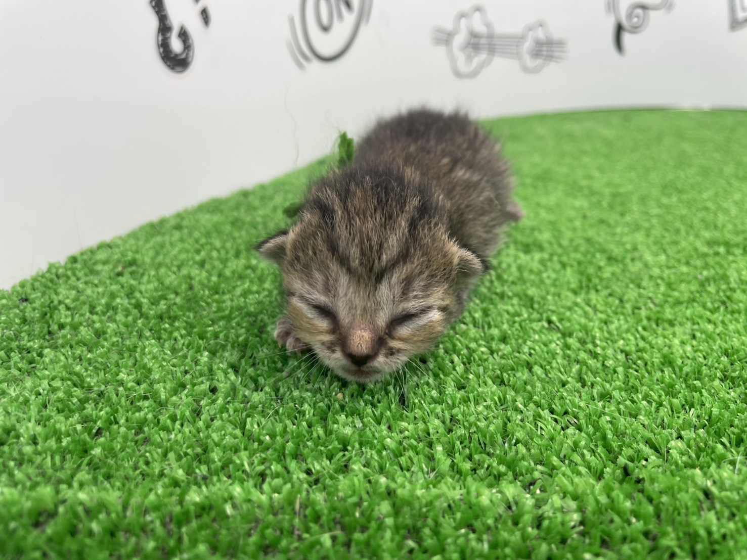 赤ちゃん写真1-1