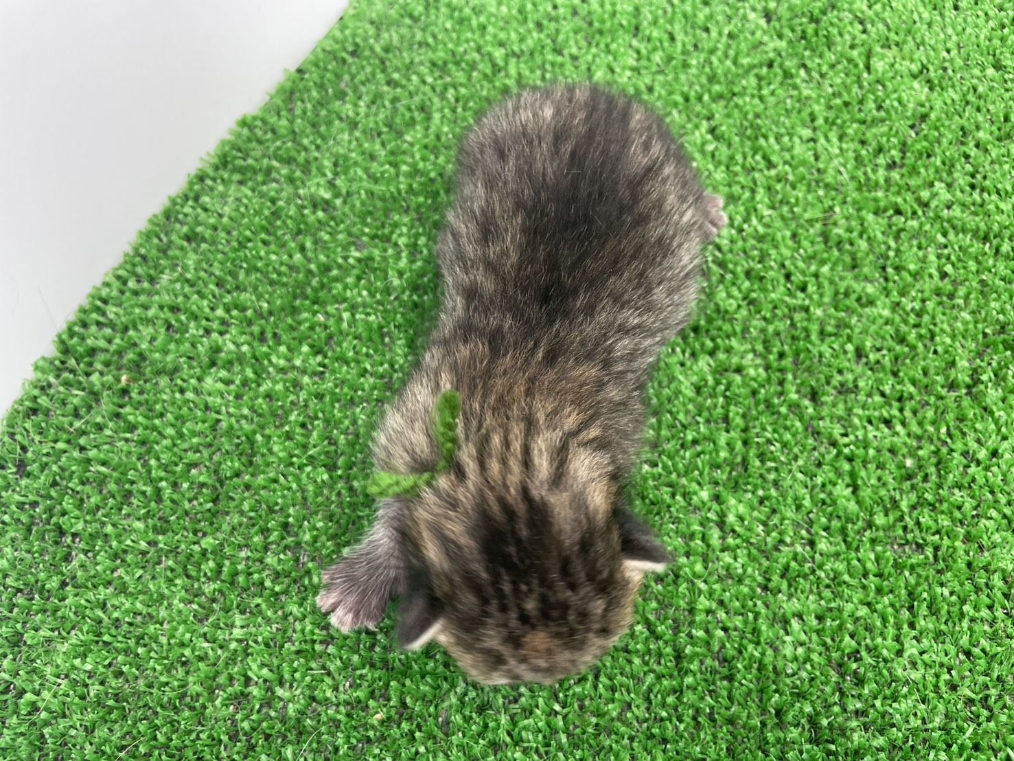 赤ちゃん写真1-3