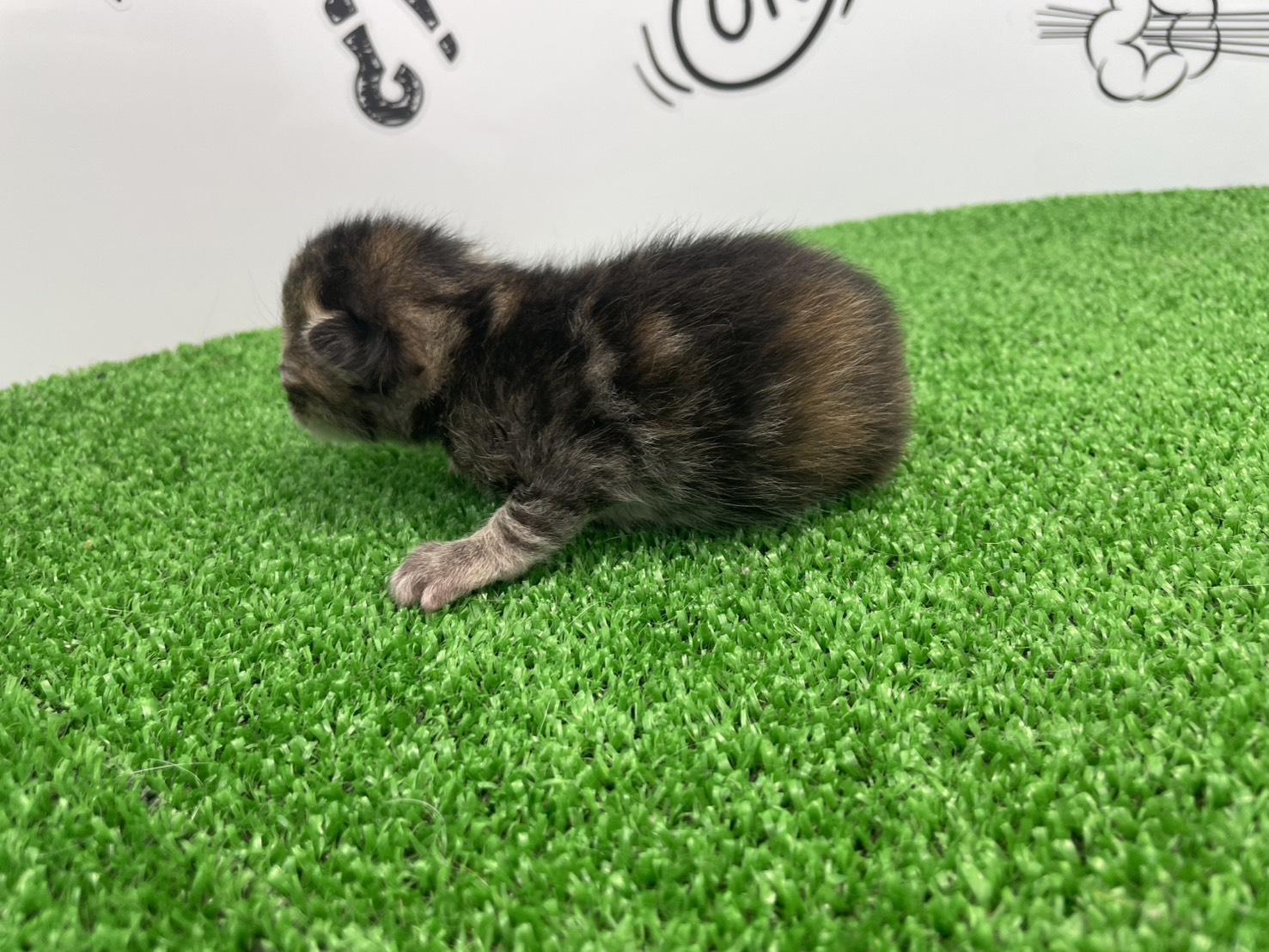 赤ちゃん写真1-2
