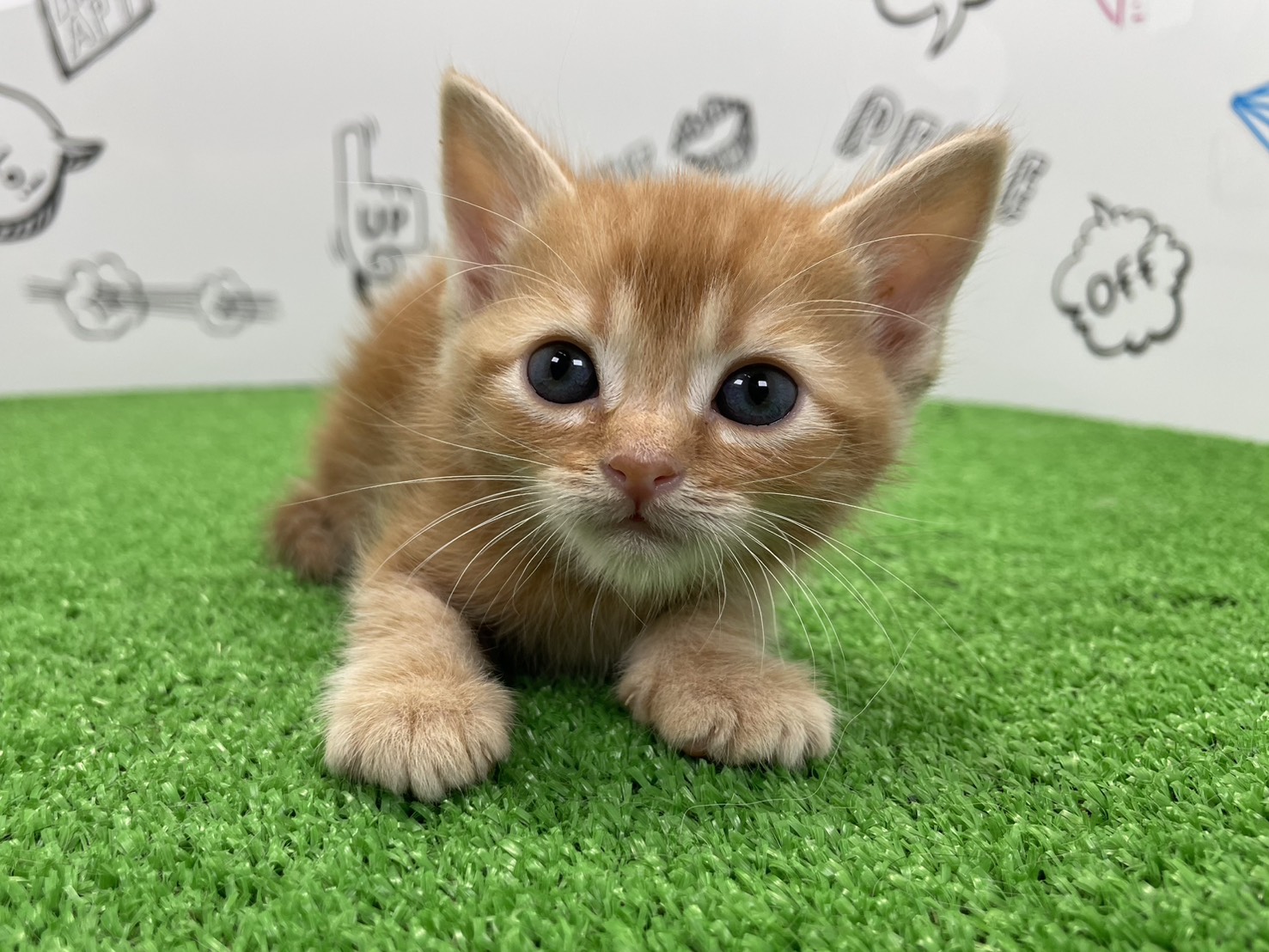 赤ちゃん写真2-1