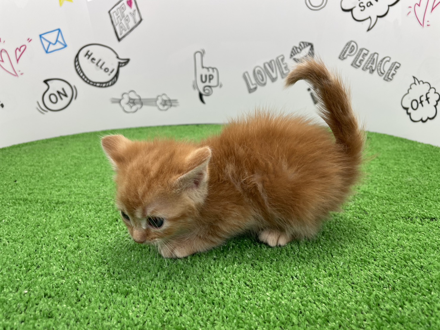 赤ちゃん写真2-2