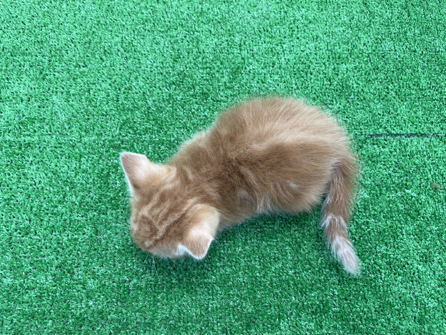 赤ちゃん写真2-3