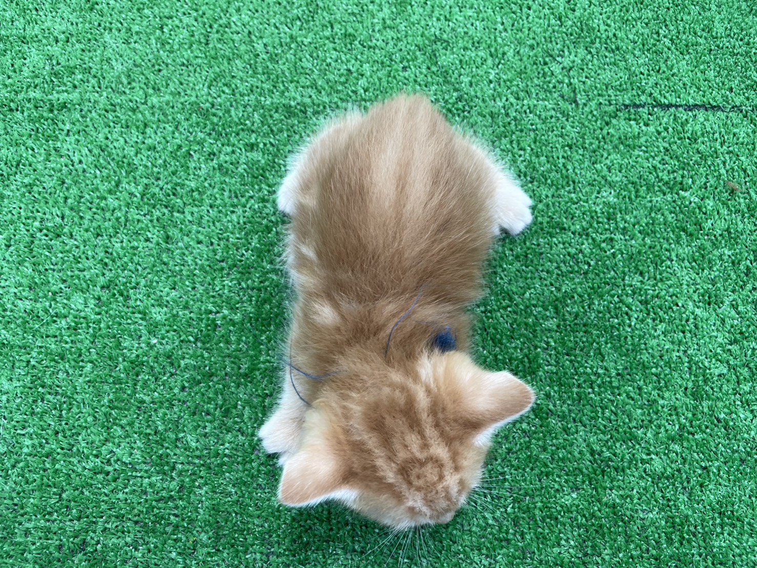 赤ちゃん写真2-3