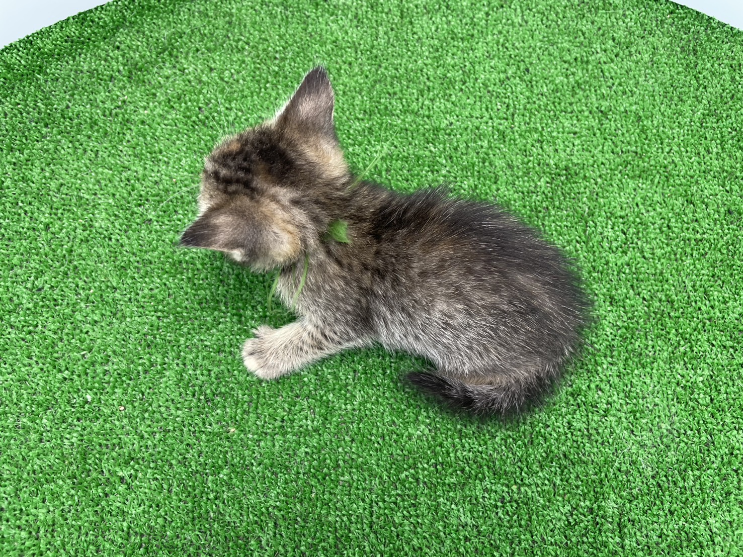 赤ちゃん写真2-3