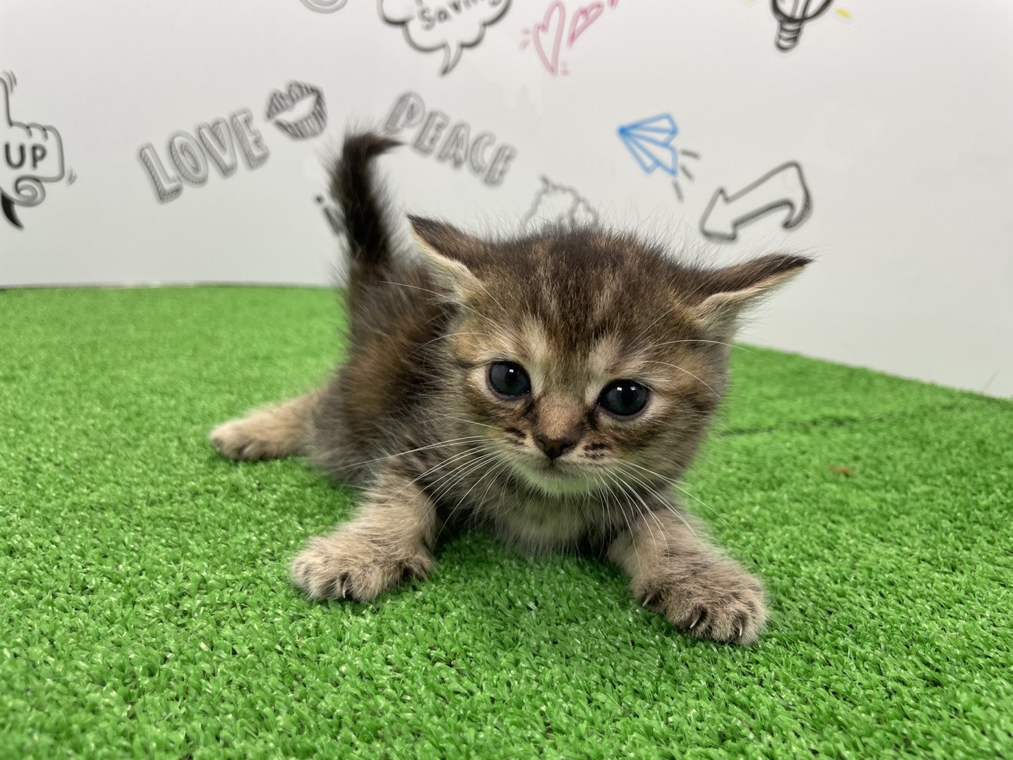 赤ちゃん写真2-1
