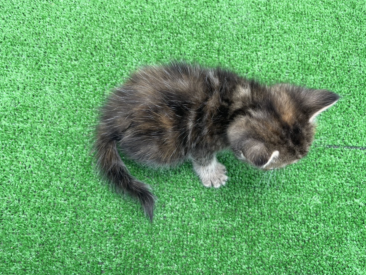 赤ちゃん写真2-3