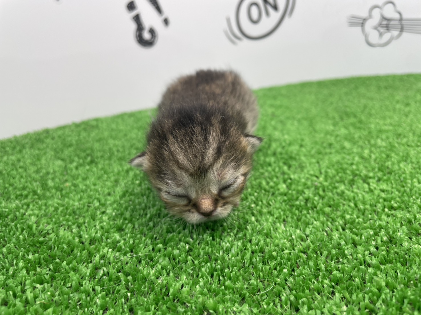 赤ちゃん写真1-1