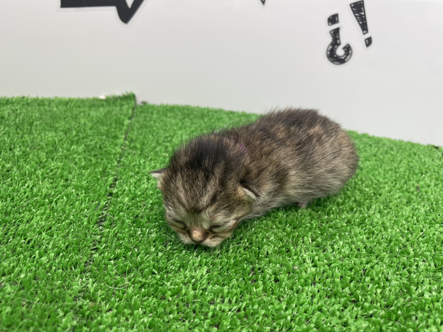 赤ちゃん写真1-2