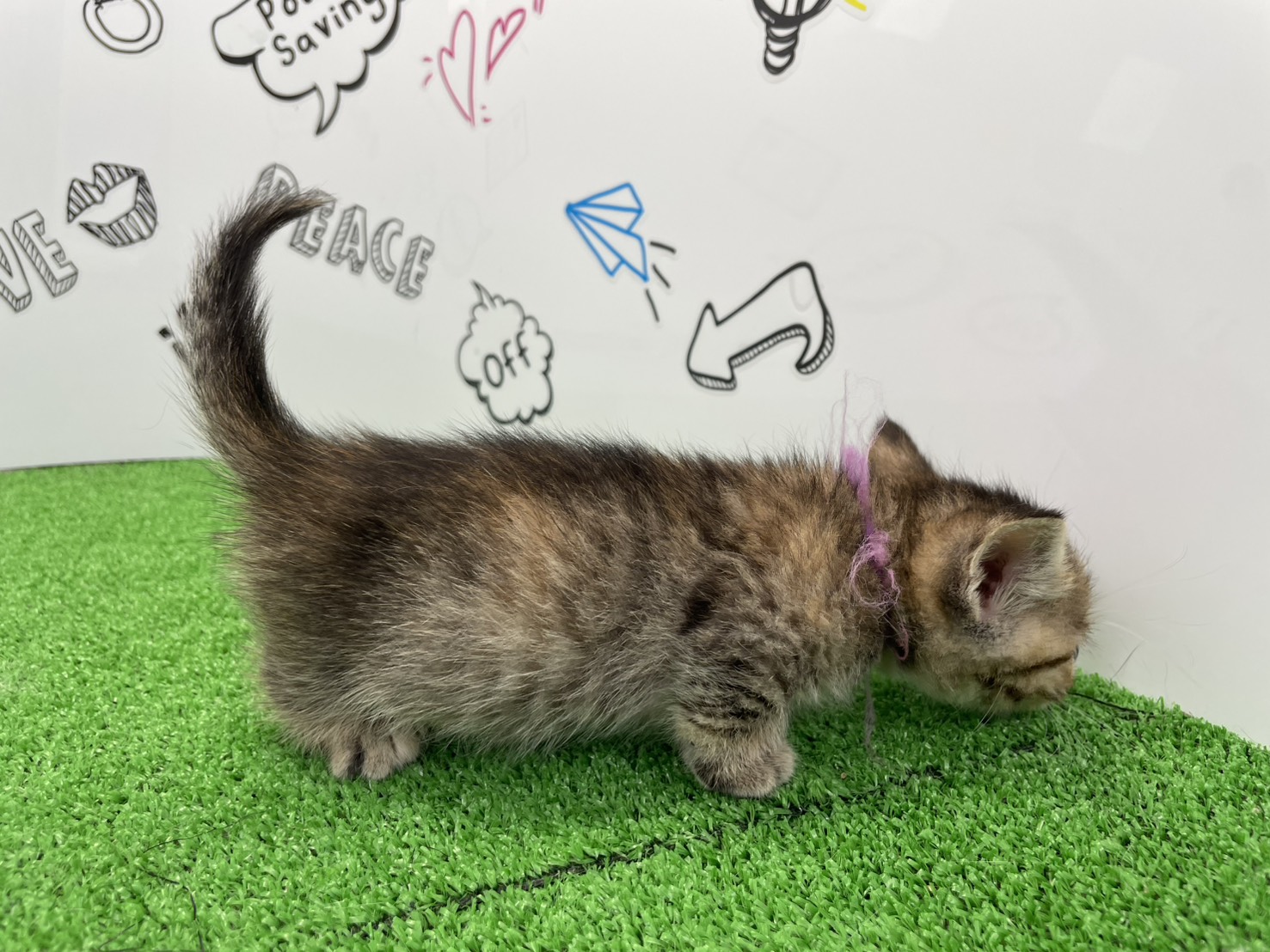 赤ちゃん写真2-2