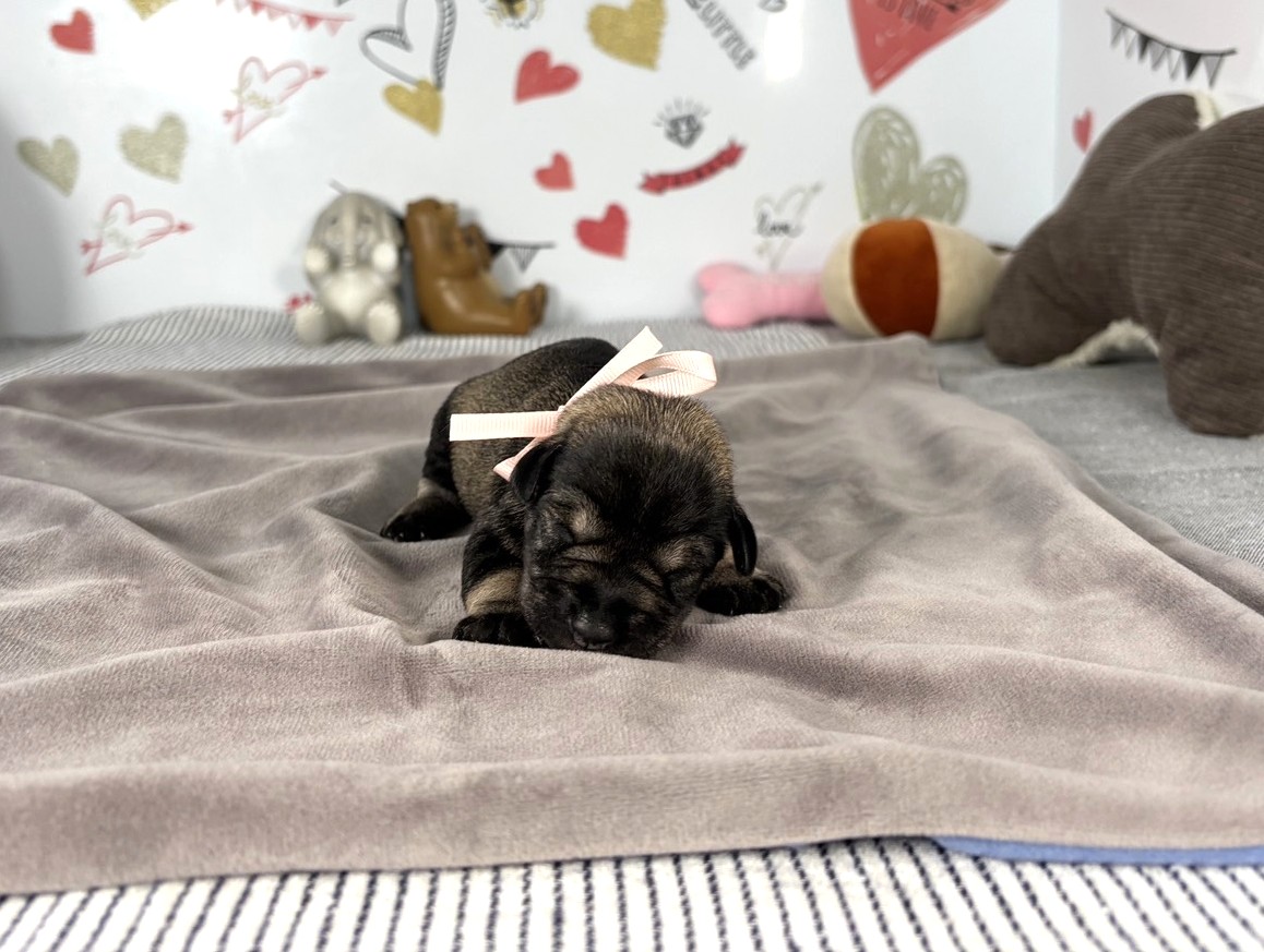 赤ちゃん写真1-1