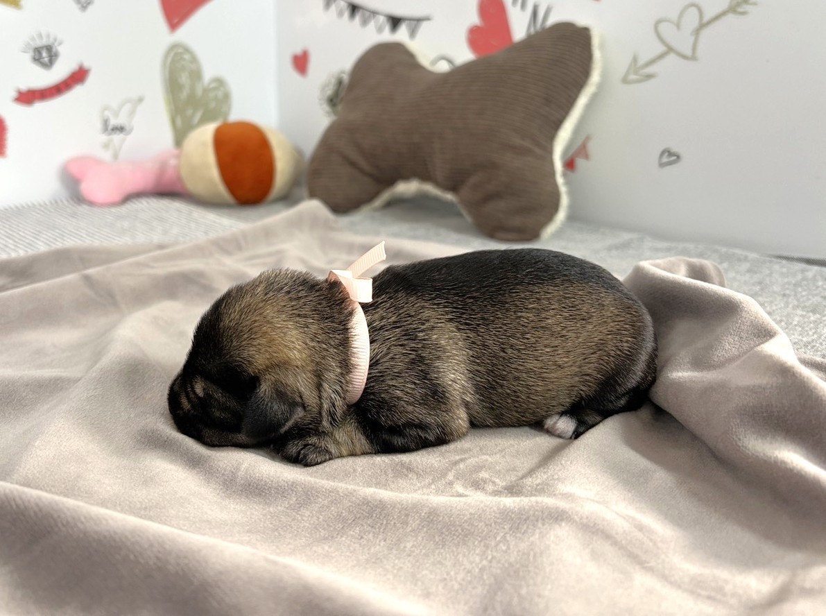 赤ちゃん写真1-2