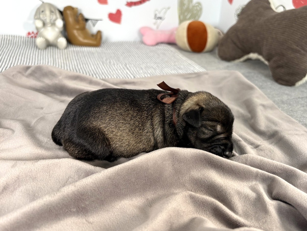 赤ちゃん写真1-2