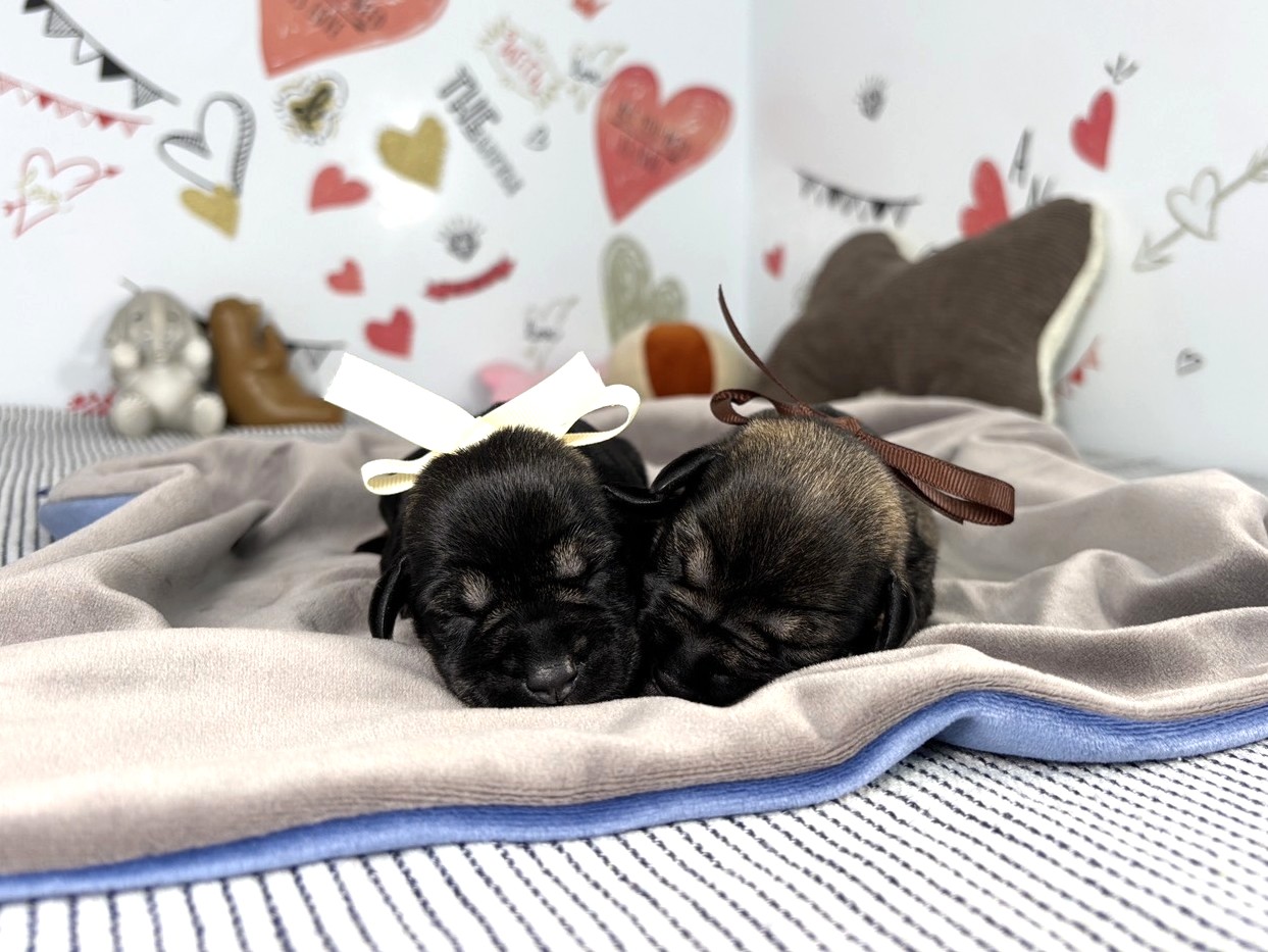 赤ちゃん写真1-3
