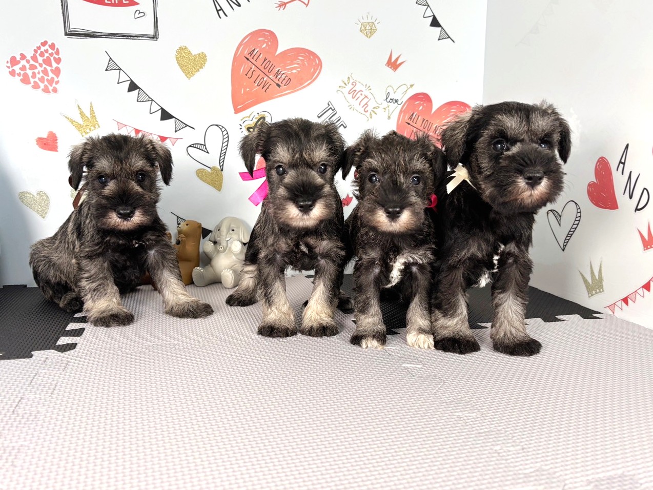 赤ちゃん写真2-3