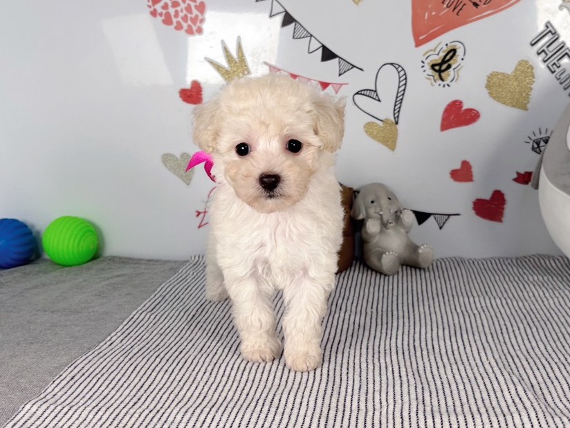 赤ちゃん写真2-1