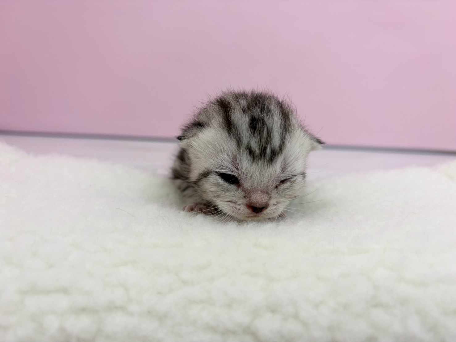 赤ちゃん写真1-1