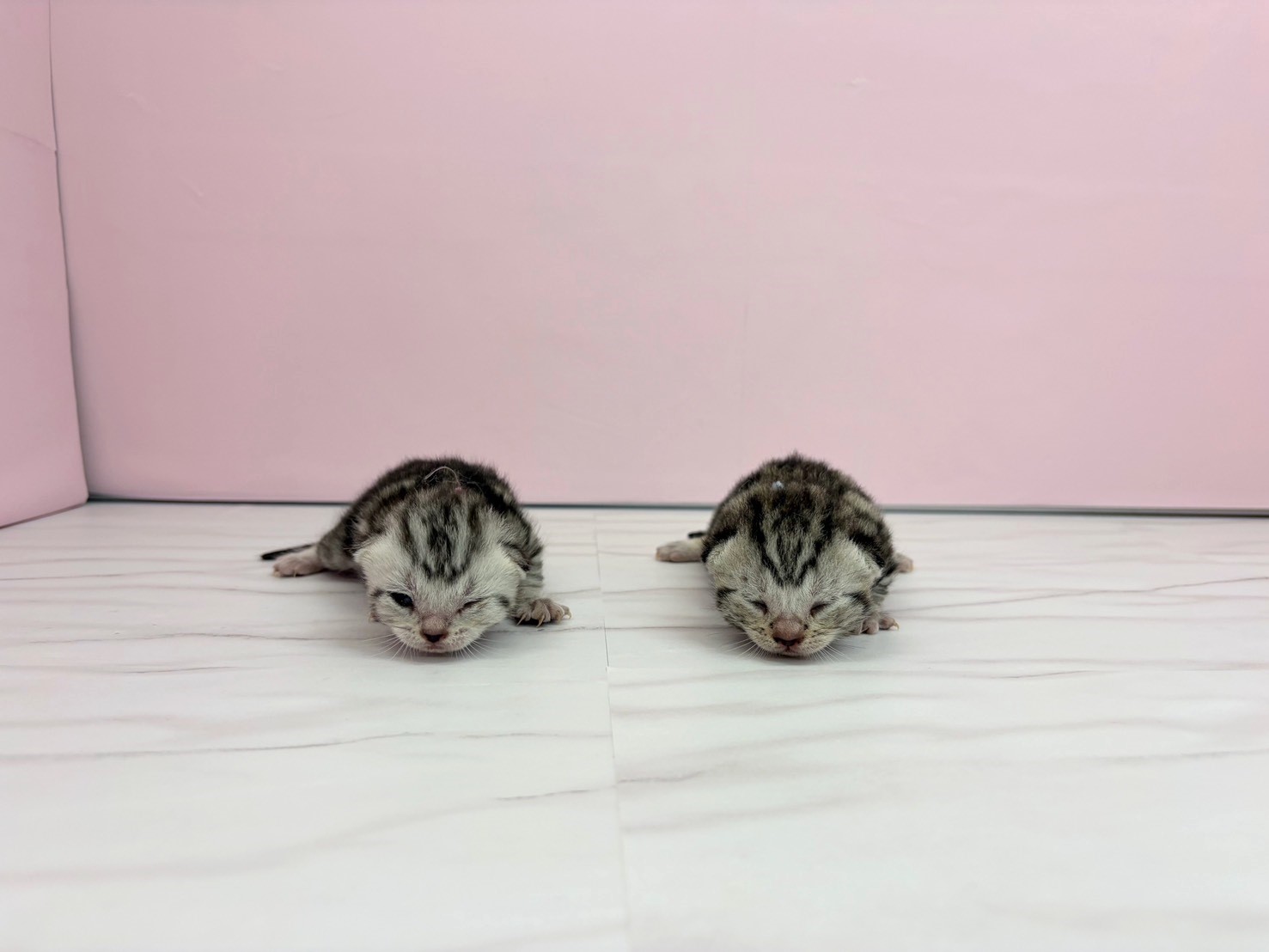 赤ちゃん写真1-3